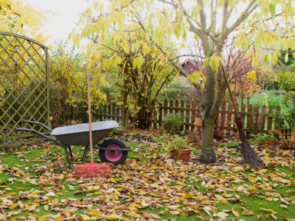 Den Garten auf den Herbst vorbereiten Atlas For Men